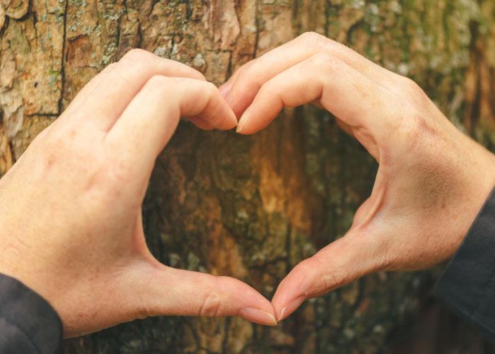 Iniciativas sustentáveis fazem empresas investirem em brindes ecológicos
