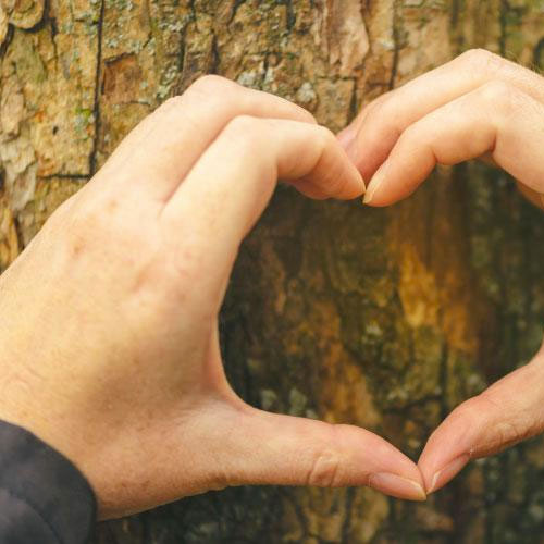 Iniciativas sustentáveis fazem empresas investirem em brindes ecológicos